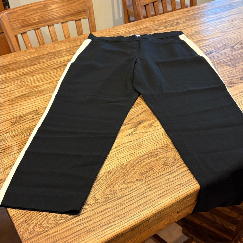 Babaton Slacks. - image 4